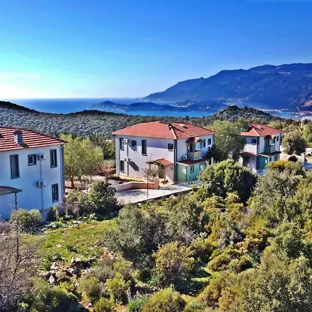 Hotel Lacitrus And