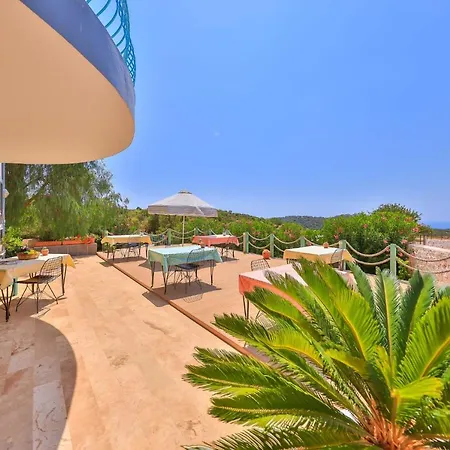 Hotel Lacitrus And