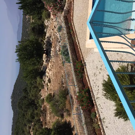 Lacitrus And Otel